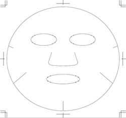 抗菌フェイスマスク