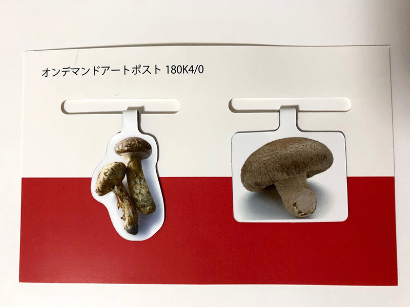 オリジナル型マグネットしおり